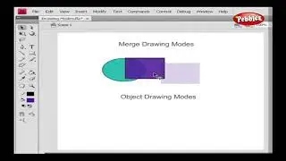 Drawing Modes || Flash CS4  Presentation || Tutorial For Beginners || On Screen Training