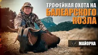 ТРОФЕЙНАЯ ОХОТА НА БАЛИАРСКОГО КОЗЛА | МАЙОРКА | ОХОТА С ДЕНИСОМ МОРОЗОВЫМ | CAPRA HIRCUS SSP