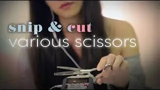 ASMR Scissors No Talking Snips and Cutting Paper
