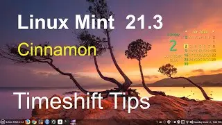 Linux Mint 21.3 - Cinnamon - Timeshift Tips.