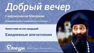 Ежедневные впечатления. Пчела и муха. Иеромонах Макарий Маркиш