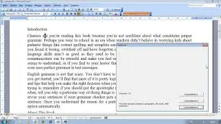 VBA in MS Office 2003. Paragraphs, words and characters.