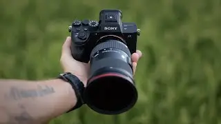 Best Sony BEGINNER CAMERAS in 2023