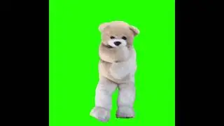 Green Screen Dancing Bear