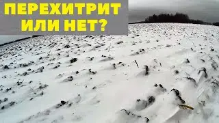 Охота на зайца. Ну что, попался, косой!?