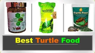 Best Turtle Food in India 2023 ⚡ सबसे कछुए के लिए भोजन ⚡ टर्टल फूड