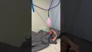 Продолжение в Instagram Pavlov_family_