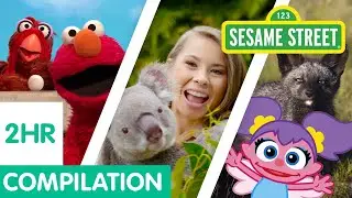 Sesame Street: Animals for Kids Compilation | 2 Hours