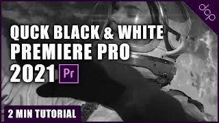 Quick Black and White Video in Premiere Pro 2021