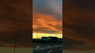 Люблю тебя / SEVENROSE 