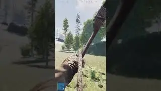 RUST CONSOLE FUNNY HEAD SHOT ON TEAM MATE