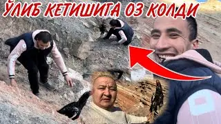 ТОЖИКИСТОН ПЕРЕВАЛИДА КУТИЛМАГАН ВИДЕО ЖАРГА ҚУЛАГАН ХОРОЗ ҚУТКАРИЛДИ