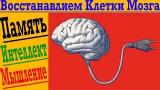 Восстанавливаем клетки мозга! Улучшаем память, интеллект и мышление!