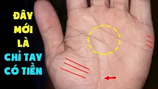 6 Dấu Hiệu Trên Lòng Bàn Tay Quyết Định Cuộc Đời Giàu Sang Phú Quý - Phần 2