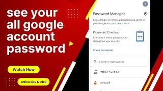 How to show all google account password
