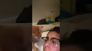 Kitten Loses Tooth While Licking Womans Face