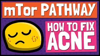 The mTor Pathway - The Link between Acne, Obesity, Depression & Type 2 Diabetes