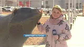 Дежурный по городу 11.04.2023