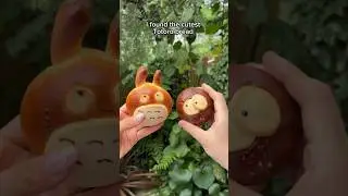 Spotted a Totoro Bakery in southern Japan