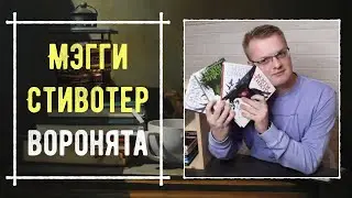 ОБЗОР: "Воронята" Мэгги Стивотер📚