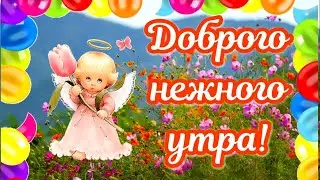 Нежного Утречка, Друзья 🧁