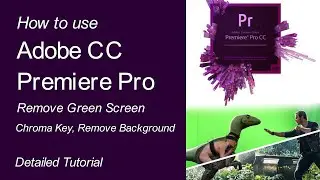 How to Change Background Adobe Premiere Pro  | Remove Green Screen (Chroma Key, Remove Background)