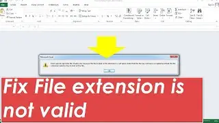 Excel cannot open the file because the file format or file extension is not valid