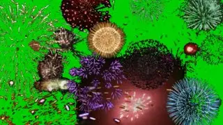 Green screen Firework Celebration #5.MUST WATCH effect that will blow your mind.Fireworks animation.