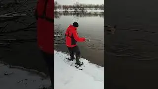 Трофейный судак на ультралайт 👦🎣 #москварека #ультралайт #отличнаярыбалка #закрытие2023