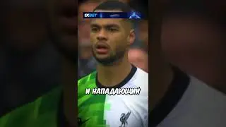 Кажется, Он Понял, Что Натворил 😰