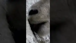 Боитесь высоты? 😰