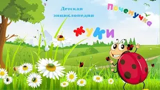 0+ Тор-10 интересных фактов о жуках. Почемучка. Детская энциклопедия.