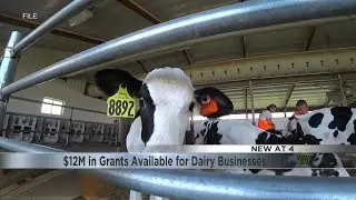 USDA awards $12 million towards dairy businesses in the Midwest