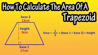 How To Find, Calculate The Area Of A Trapezoid - Formula For The Area Of A Trapezoid Explained