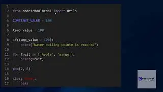 Statement in python | Python tutorial in nepali
