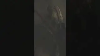 Escape from Tarkov ● Отомстил за леммингов ● 