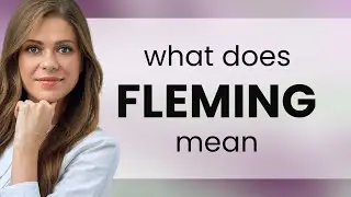 Fleming — meaning of FLEMING