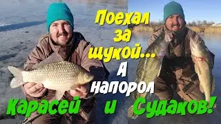 ПЕРВЫЙ ЛЕД 2019-2020 ! Рыбалка на жерлицы.Судак на живца.Карась на безмотылку .