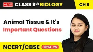 Animal Tissue and Its Important Questions - Tissue | Class 9 Biology Chapter 6 | CBSE 2024-25