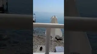 #лето