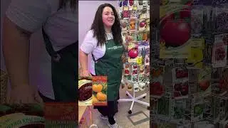 ТОП-5 для детей