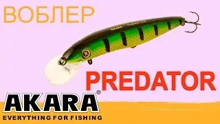 Обзор воблера AKARA Predator 85 - 100 - 125