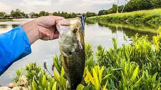 Fishing Private Pond For The First Time!