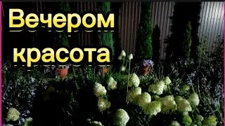 Вечером прохлада и красота