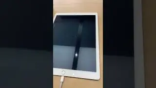 Trading in my 1st gen iPad Pro for the new one. Off to the apple store!