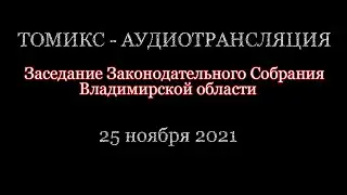 ЗС ноябрь-2021: Бюджет, QR-коды и борьба за очные заседания