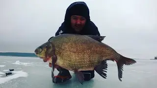 ЭТОТ КАБАН НЕ ЛЕЗЕТ В ЛУНКУ ! Зимняя рыбалка на леща !