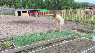 Один день в деревне.