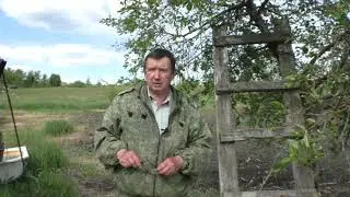 БЕЗРОЕВОЕ ПЧЕЛОВОДСТВО. fips.ru   изобретение 2766578