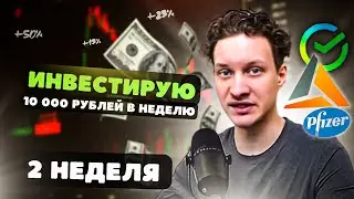 КАК ЧУВСТВУЕТ СЕБЯ НОВЫЙ ПОРТФЕЛЬ? Какие акции покупать cейчас | Инвестиции 10 тысяч в неделю #2